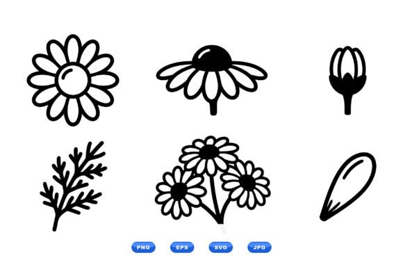 Daisy Line Art Clipart Set Graphics