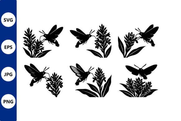 Hummingbird Silhouettes Graphics for Crafting